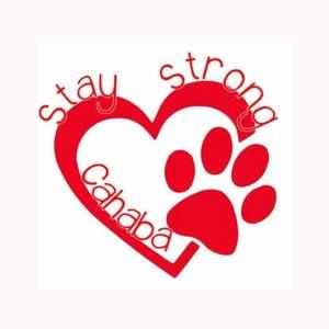 Meet your Posher, Dale